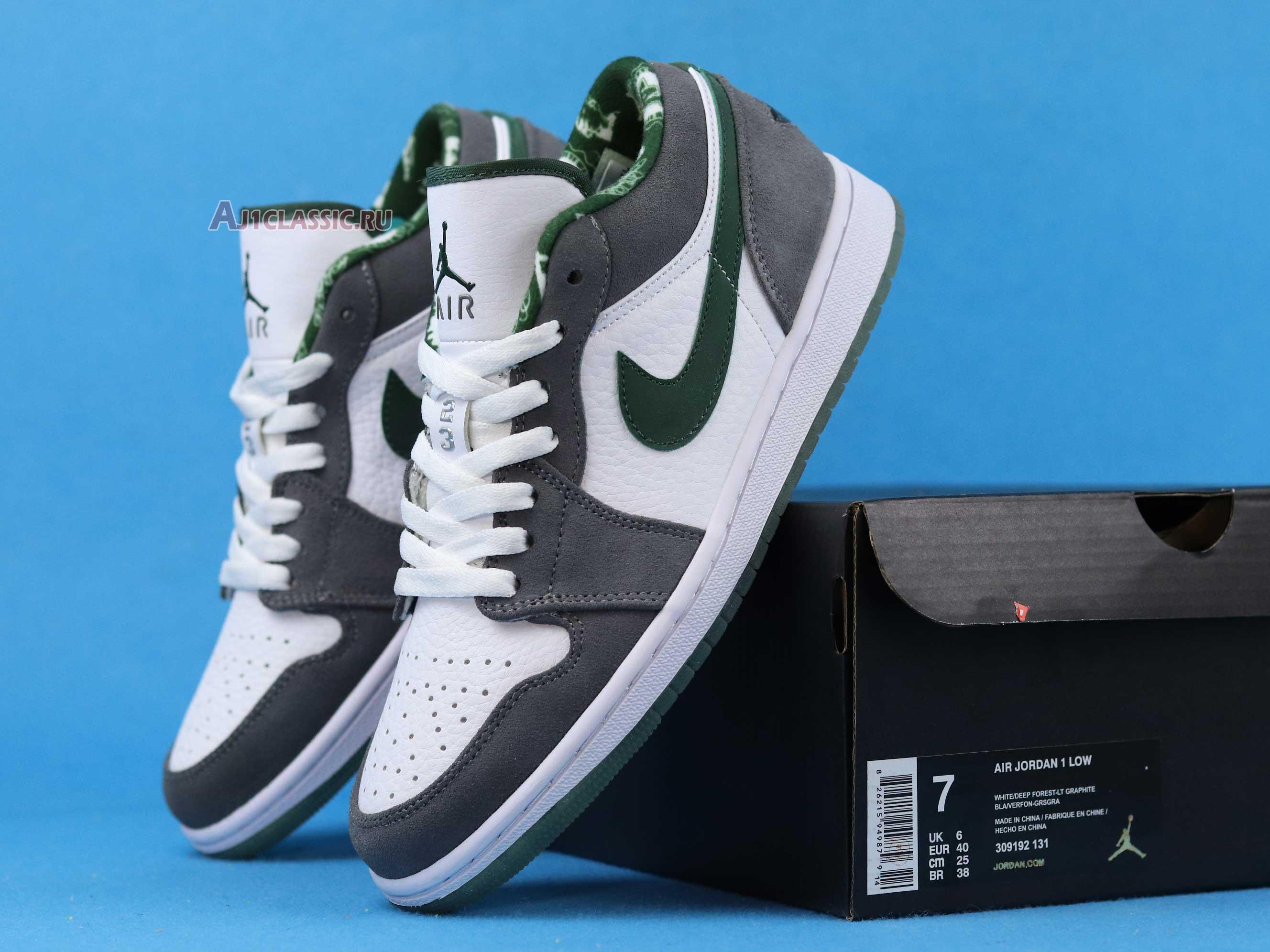 Air Jordan 1 Retro Low "Northside" 309192-131