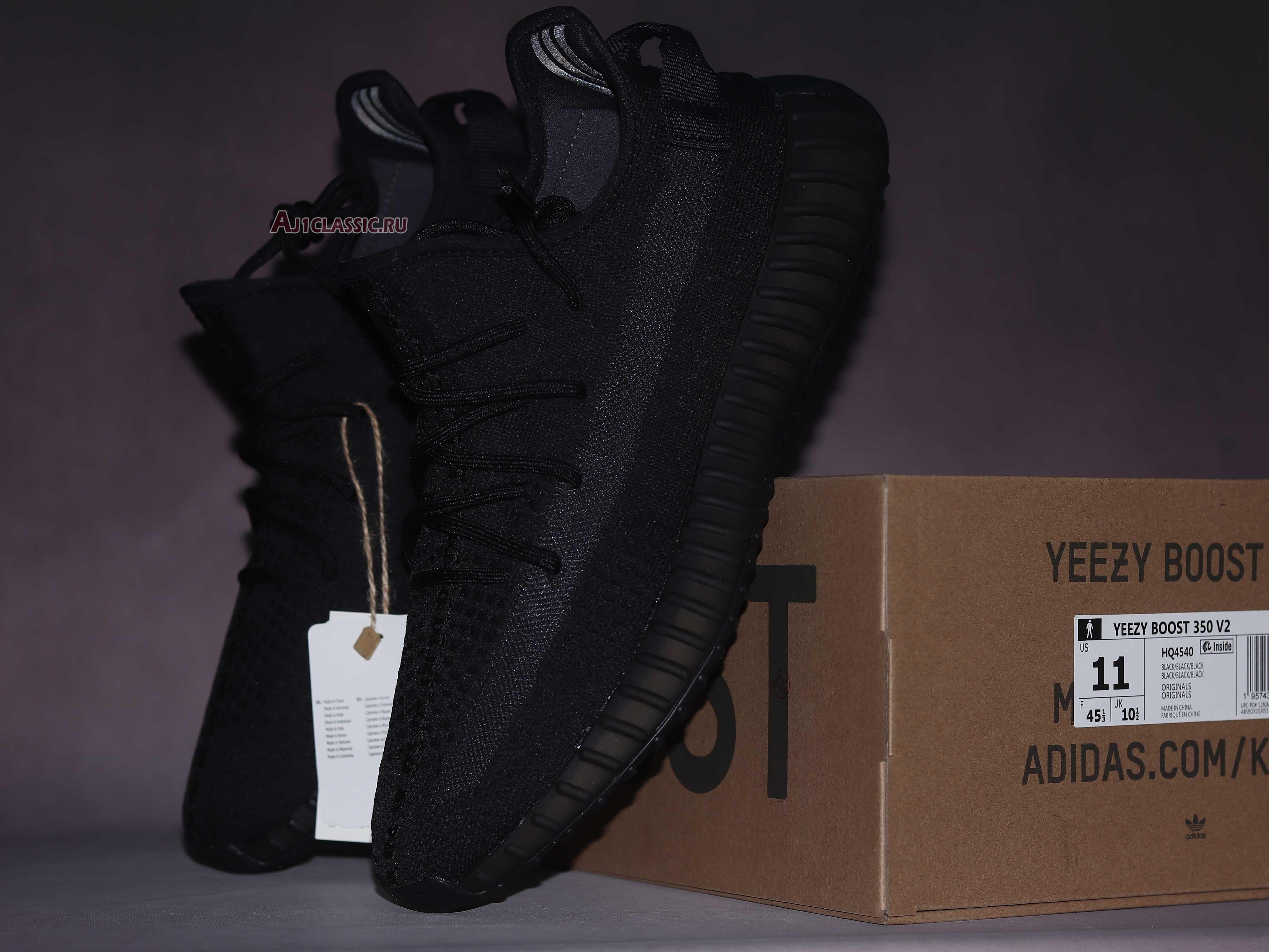 Adidas Yeezy Boost 350 V2 "Onyx" HQ4540