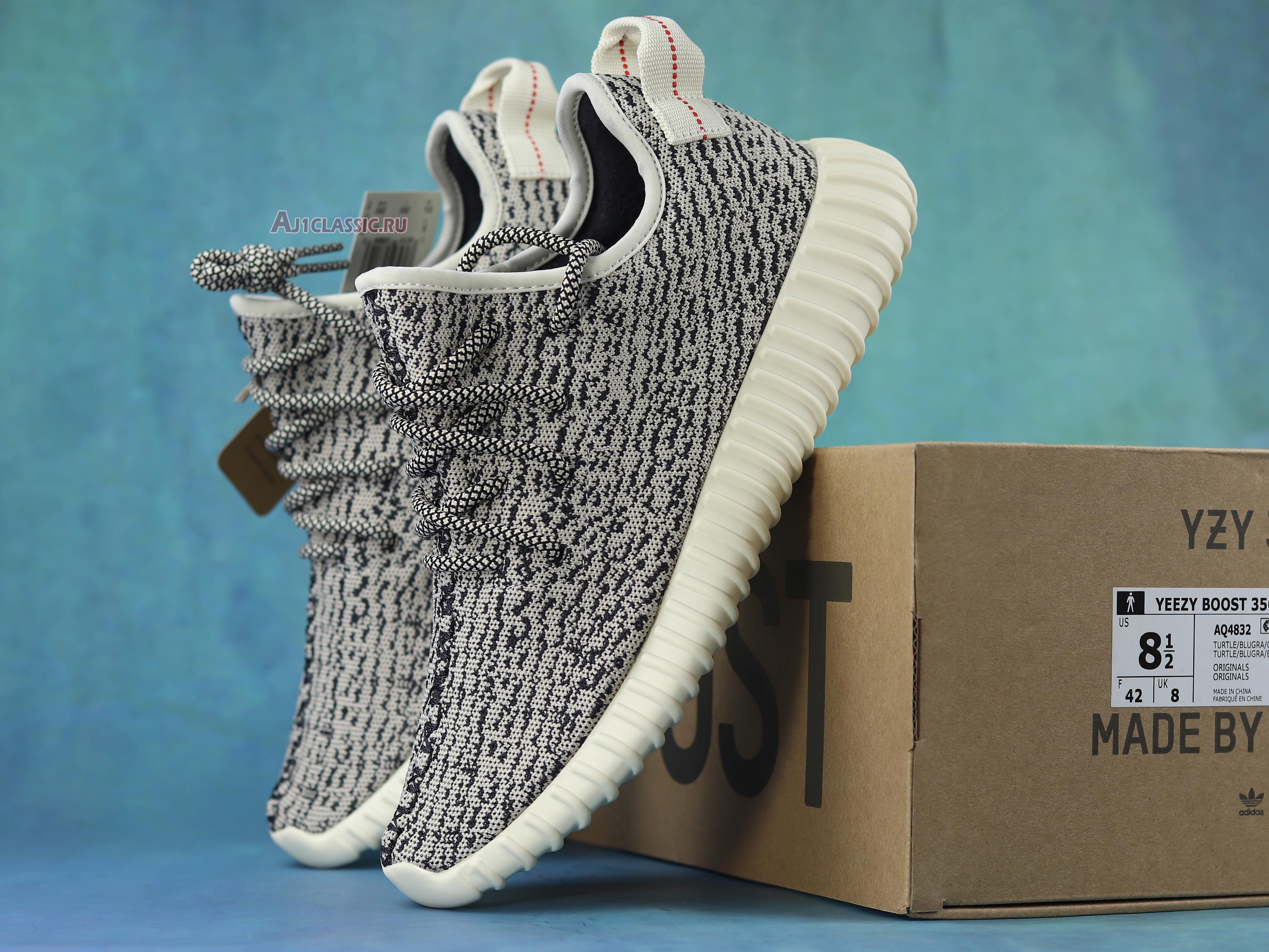 Adidas Yeezy Boost 350 "Turtle Dove" AQ4832