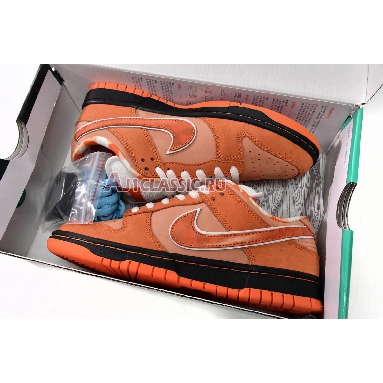 Concepts x Nike Dunk Low SB Orange Lobster FD8776-800 Orange Frost/Electro Orange-White Sneakers