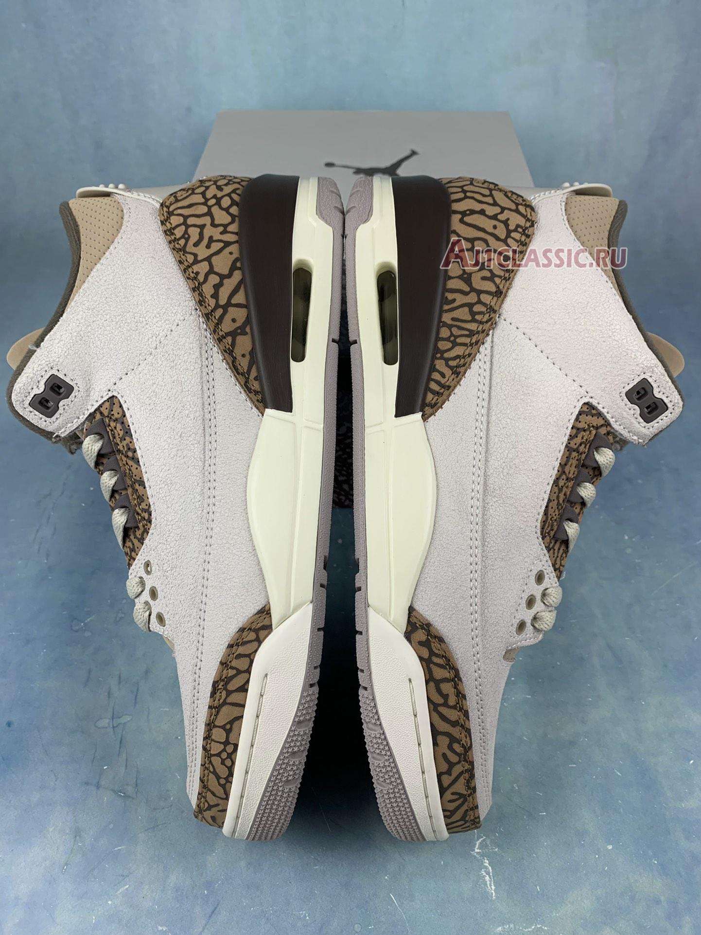 Air Jordan 3 Retro "Palomino" CT8532-102