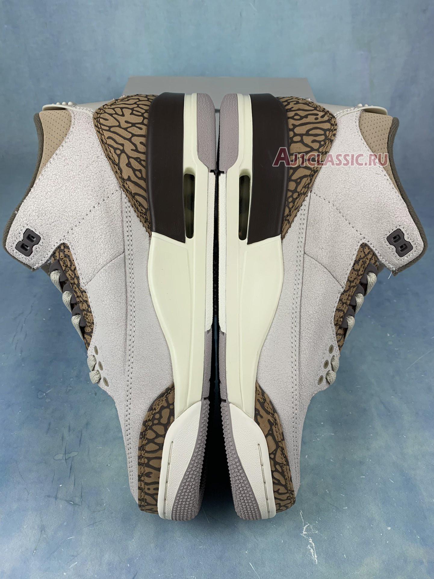 Air Jordan 3 Retro "Palomino" CT8532-102