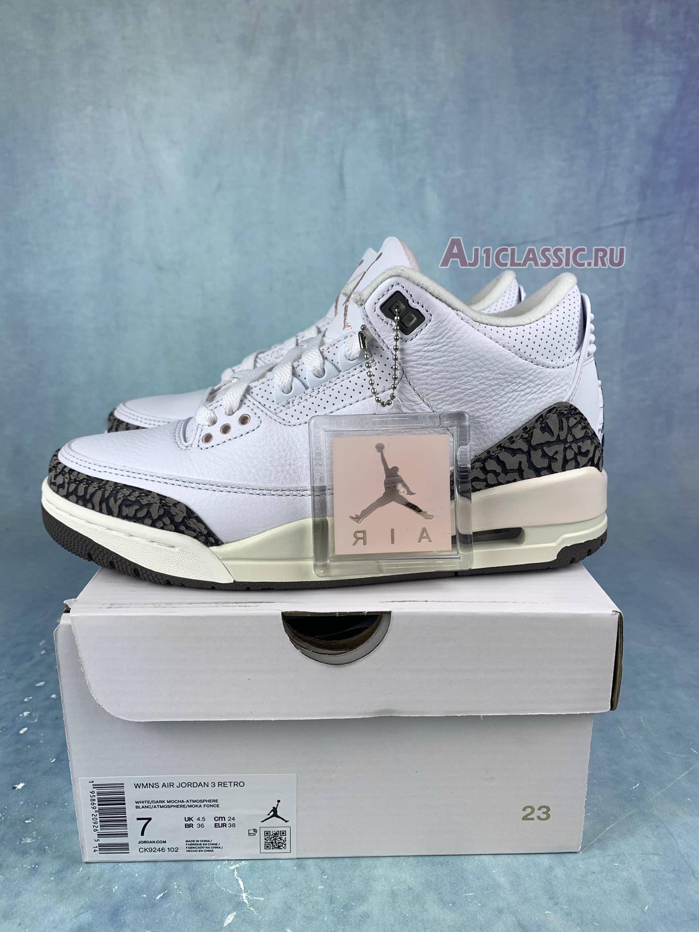 Air Jordan 3 Retro "Neapolitan" CK9246-102-2