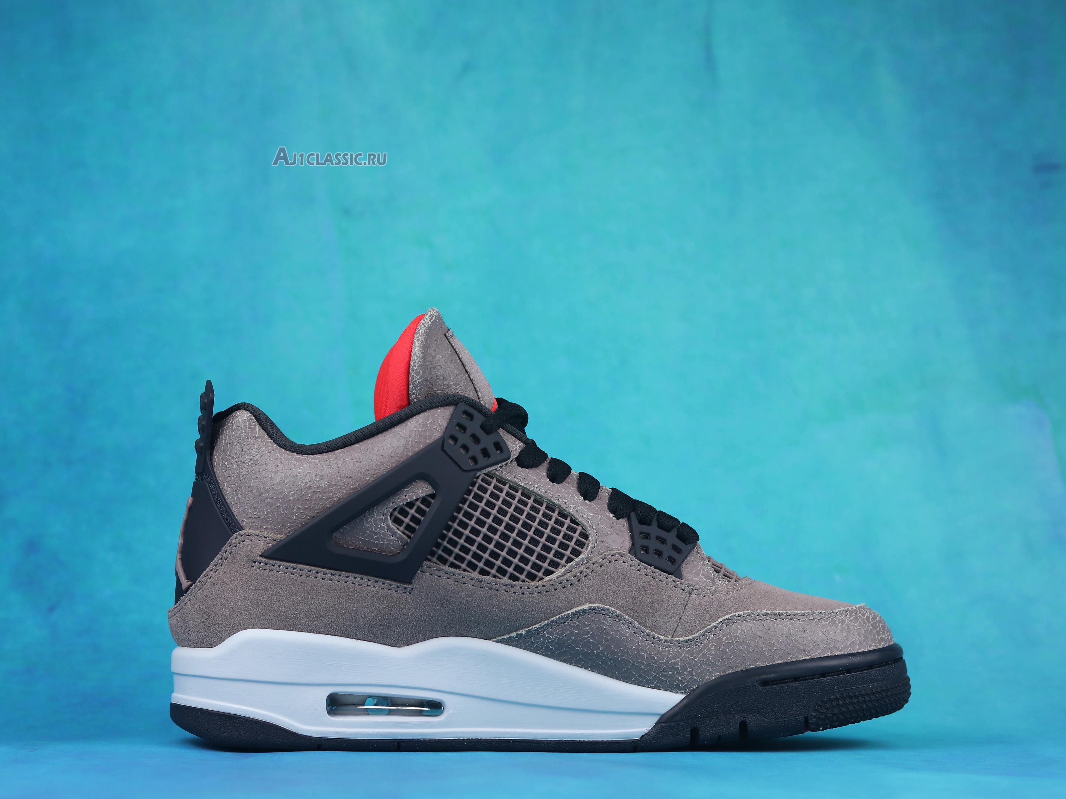 Air Jordan 4 Retro "Taupe Haze" DB0732-200-2